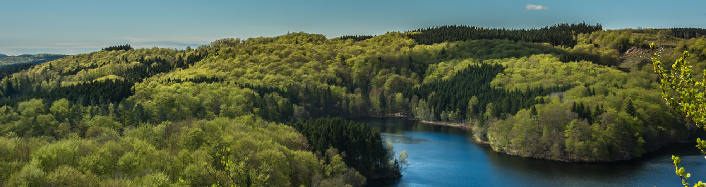 Qu'est-ce qui distingue le programme carbone neutre d'Ariva?